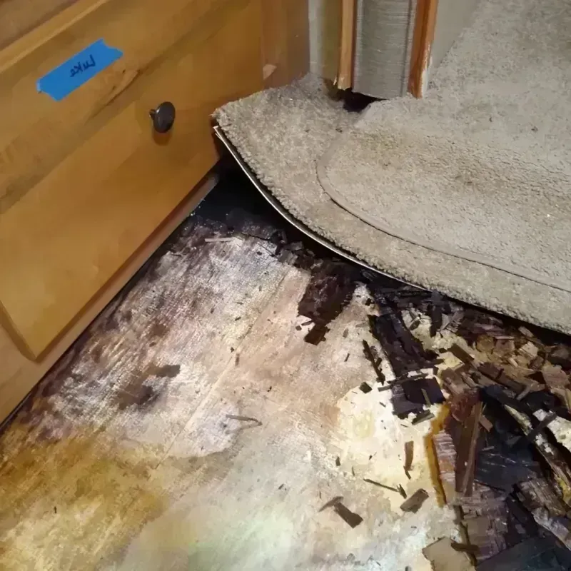 Wood Floor Water Damage in Lacon, IL